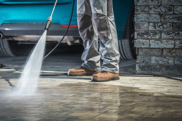 Boat and Dock Cleaning in Wekiwa Springs, FL